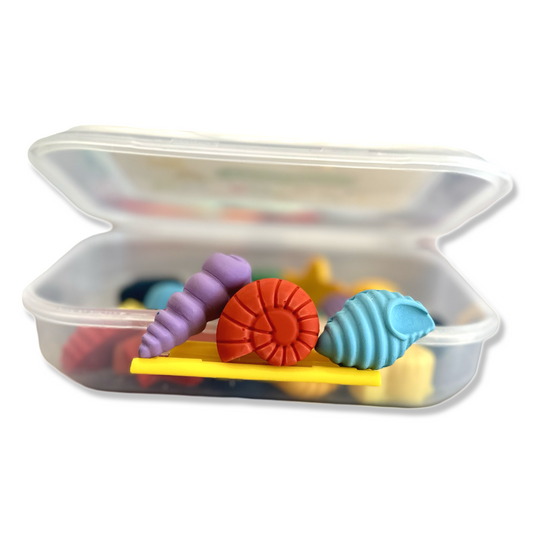 Sea Shell Crayon Box