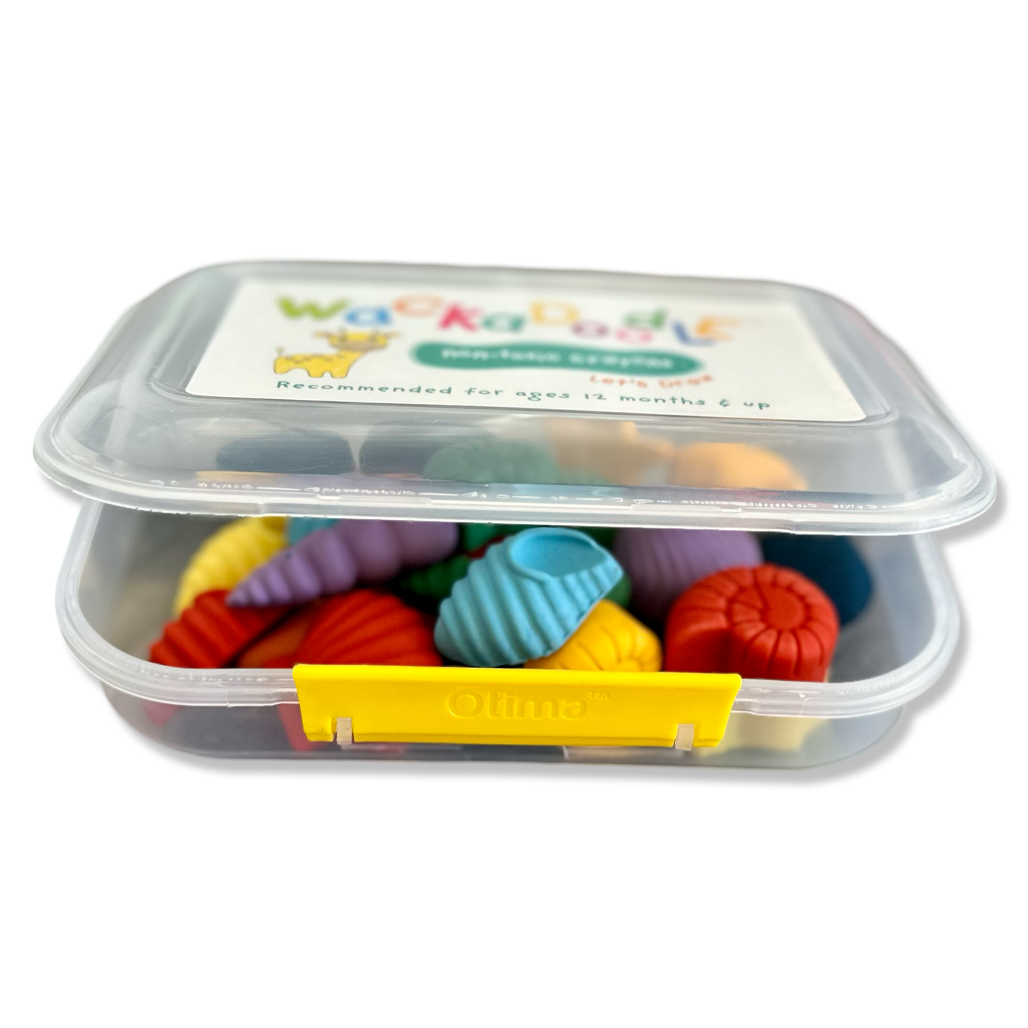 Sea Shell Crayon Box